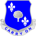 359th (Infantry) Regiment, US Armydui.png