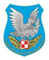 4th Training Air Wing, Polish Air Force.jpg