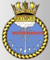 HMS Olympus, Royal Navy.jpg