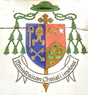 Arms of Jeremiah Newman