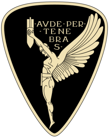 Coat of arms (crest) of the 7th Night Bombardment Wing, Regia Aeronautica