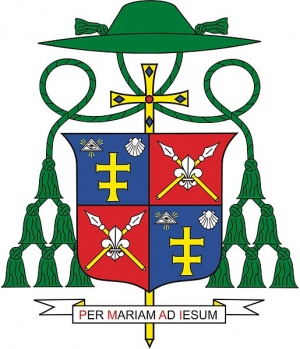 Arms of Tomáš Galis