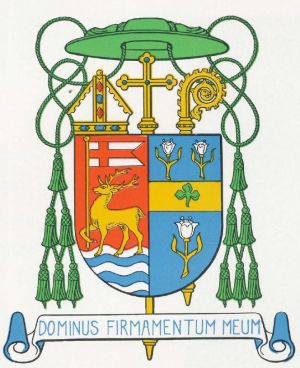 Arms of John Joseph Nilan
