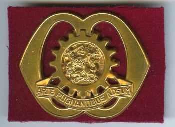 Beret Badge of the Technical Staff, Netherlands Army