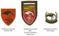 Randburg Commando, South African Army.jpg