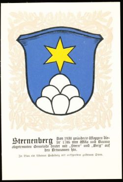 Wappen von/Blason de Sternenberg (Zürich)