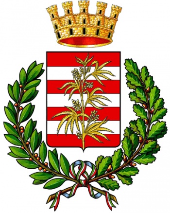 Stemma di Borgomasino/Arms (crest) of Borgomasino