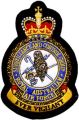 Surveillance and Control Group, Royal Australian Air Force.jpg