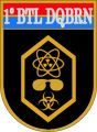 1st Chemical, Biological and Nuclear Defence Battalion, Brazilian Army.jpg