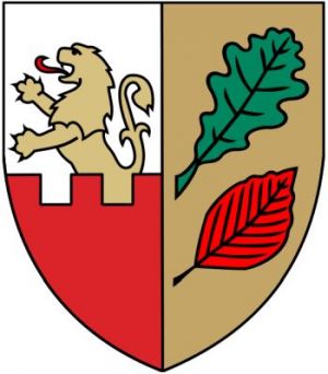 Arms of Żabia Wola
