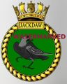 HMS Jackdaw, Royal Navy.jpg