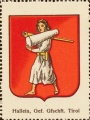 Arms of Hallein