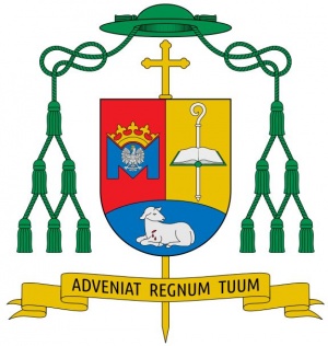 Arms of Tadeusz Litynski