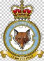 No 12 Squadron, Royal Air Force.jpg