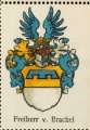Wappen Freiherr von Brachel nr. 3545 Freiherr von Brachel