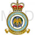 Air Movements Squadron, Royal Air Force.jpg