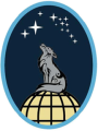 13th Delta Operations Squadron, US Space Force.png