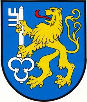 Coat of arms (crest) of Skwierzyna