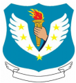 811th Air Base Group, US Air Force.png