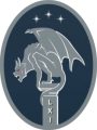 61st Cyber Squadron, US Space Force.png