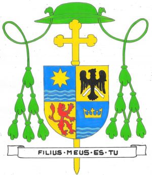 Arms (crest) of Héctor Eduardo Vera Colona