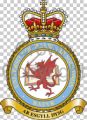 University of Wales Air Squadron, Royal Air Force Volunteer Reserve.jpg
