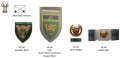 10th South African Infantry Battalion, South African Army.jpg