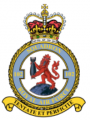No 102 Squadron, Royal Air Force.png