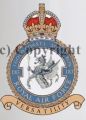 No 183 Squadron, Royal Air Force.jpg