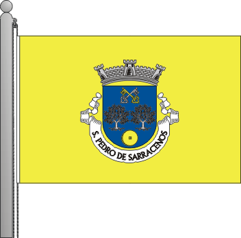 Bandeira da freguesia de So Pedro de Sarracenos