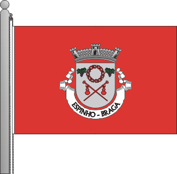 Bandeira da freguesia de Espinho