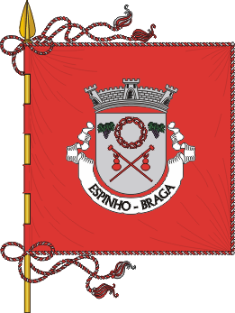 Estandarte da freguesia de Espinho