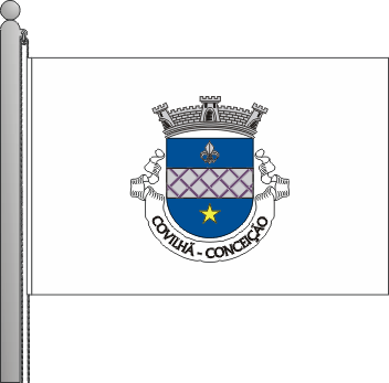 Bandeira da Freguesia da Conceio