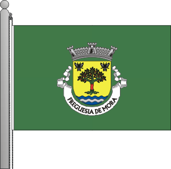 Bandeira da freguesia de Mora