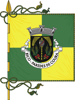 Estandarte da freguesia de Bico