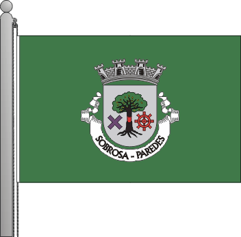 Bandeira da freguesia de Sobrosa