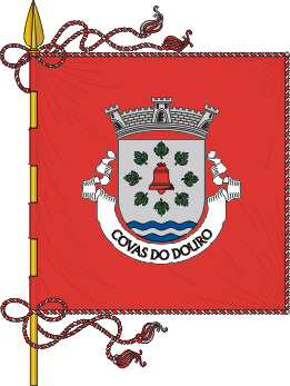 Estandarte da freguesia de Covas do Douro