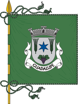 Estandarte da freguesia de Guadalupe