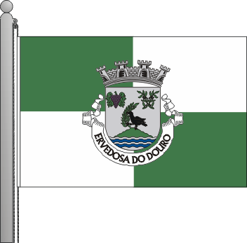 Bandeira da freguesia de Ervedosa do Douro