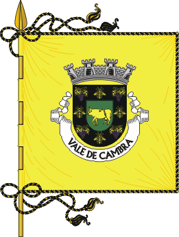 Estandarte do Municpio de Vale de Cambra