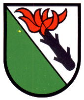 Wappen von Belpberg/Arms of Belpberg
