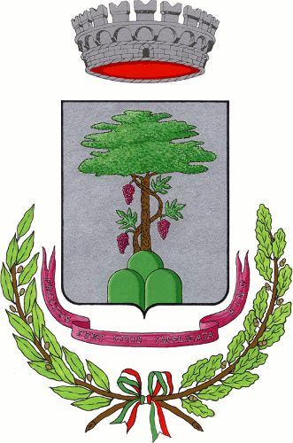 Stemma di Pino d'Asti/Arms (crest) of Pino d'Asti