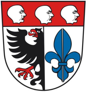 Wappen von Wangen im Allgäu / Arms of Wangen im Allgäu