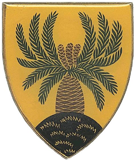 File:4th South African Infantry Battalion, South African Army.jpg