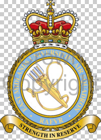 Coat of arms (crest) of the East Midlands Universities Air Squadron, Royal Air Force Volunteer Reserve