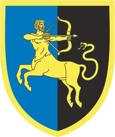 File:141st Reserve Rifle Brigade, Ukrainian Army.png