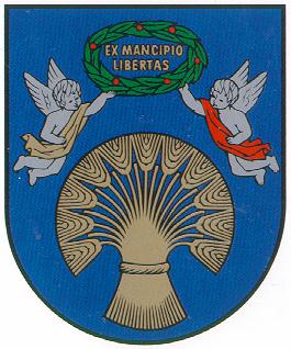 Arms of Žasliai