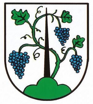 Wappen von Diedesheim/Arms of Diedesheim