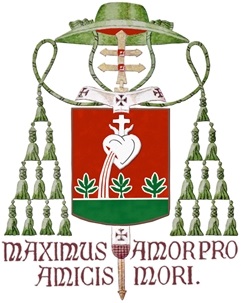 Arms (crest) of Wilson Tadeu Jönck