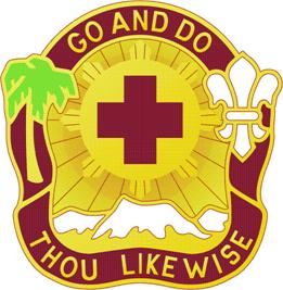 Coat of arms (crest) of the 328th Combat Support Hospital, US Army
